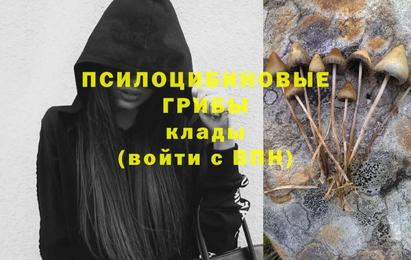 героин Абаза