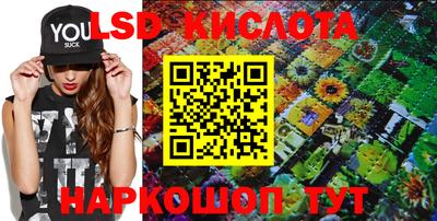 гидропоника Краснодар