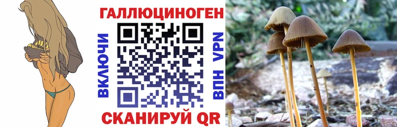 Галлюциногенные грибы GOLDEN TEACHER  Комсомольск-на-Амуре 